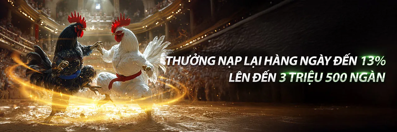 Zbet88 Casino Chương Trình VIP sang trọng
