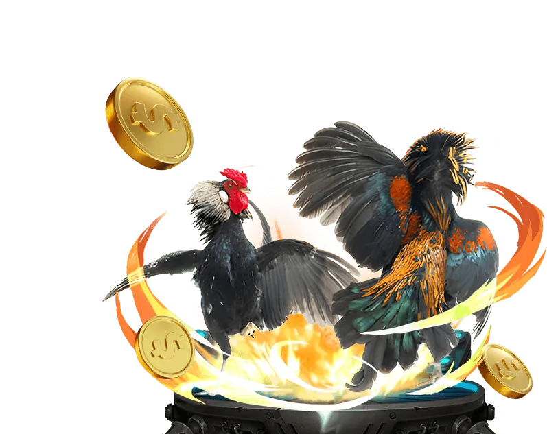 Hướng dẫn đặt cược đá gà tại Zbet88 Casino